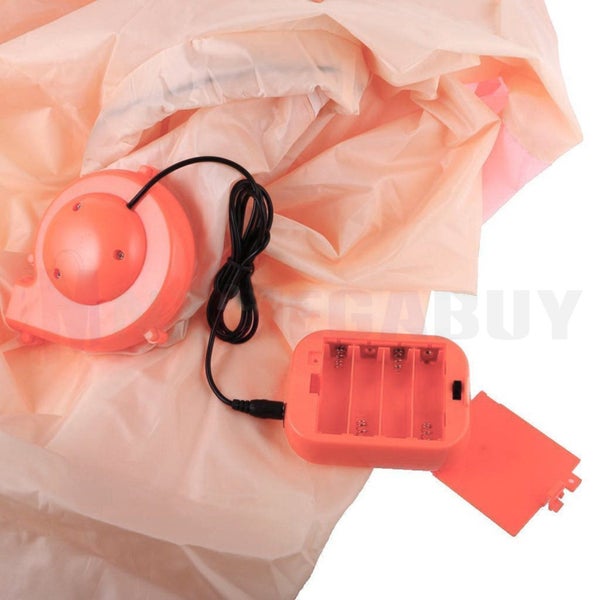 Inflatable Fancy Dress costume Penis Carousel 6