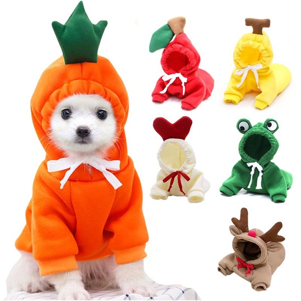 Puppy Dog Teddy Cat Plus Velvet Hooded Sweater Pet Clothes Cats Pet Carousel 1