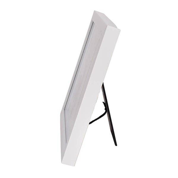 Disney Gifts - Frame: Dumbo - Mummy - Garden & Home Decor Frame Disneyana Carousel 1