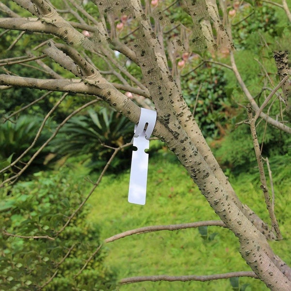 Plastic Plant Marker Plant Lable Garden Tag 21*2cm Waterproof Reusable Carousel 7