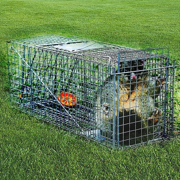 Trap Humane Possum Cage Live Animal Safe Catch Rabbit Cat Hare Fox Bird Carousel 1