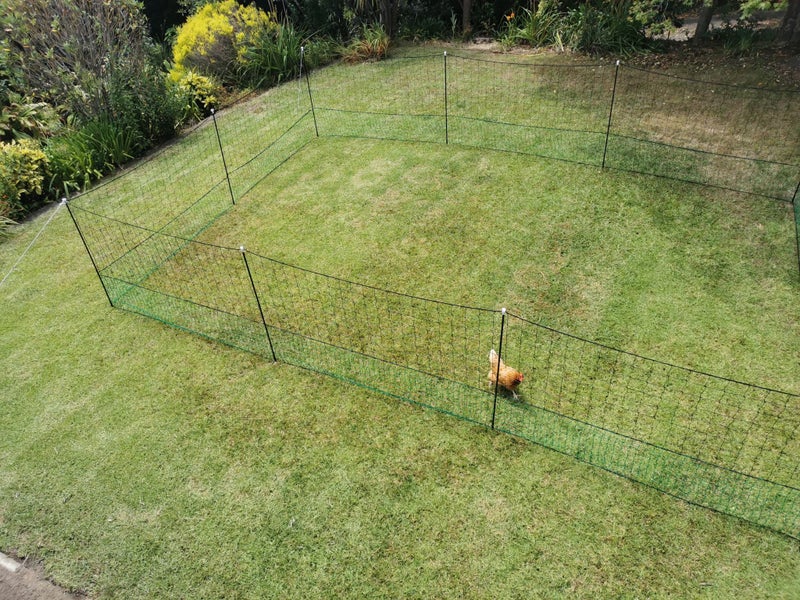 ELECTRIC CHICKEN NETTING , 21 METER / ELECTRIC POULTRY NETTING / PORTABLE Carousel 2