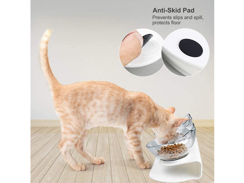 PTN NEW Cat Bowl Sale Sale Carousel 8