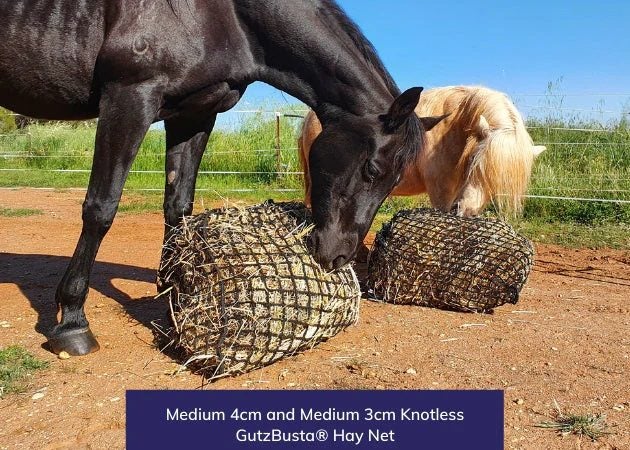 Hay Net - Medium 60mm Squares GutzBusta® Knotless Carousel 2
