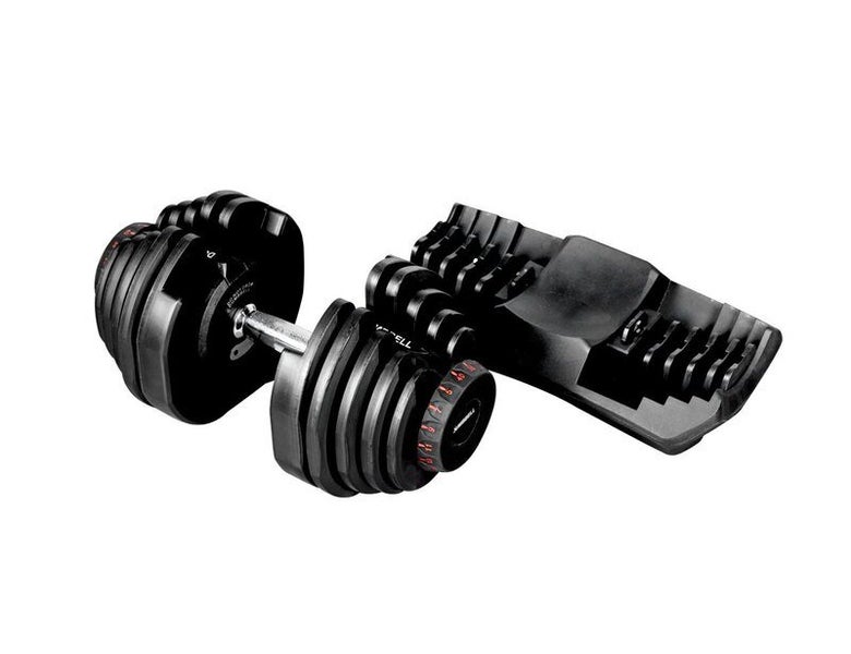 The discount bay dumbbells