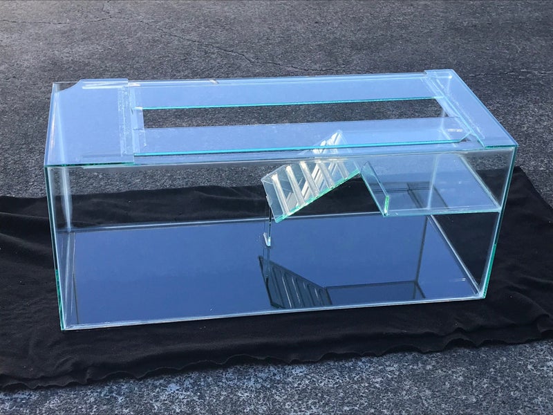 Turtle tank Carousel 1