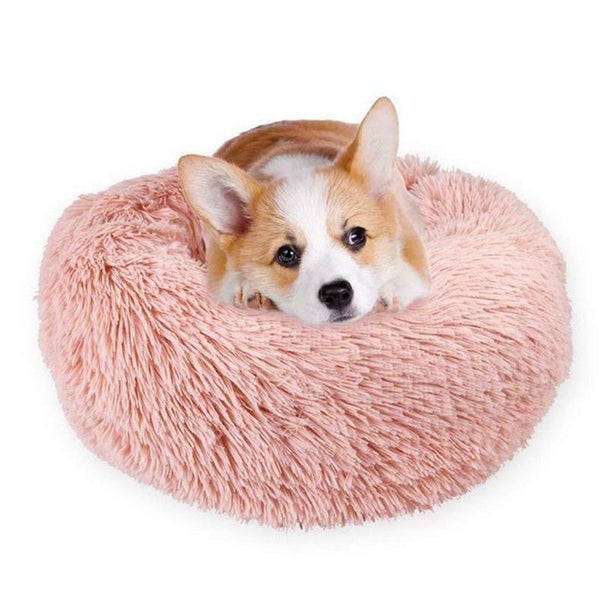 Dog Bed M 2019513 Carousel 2