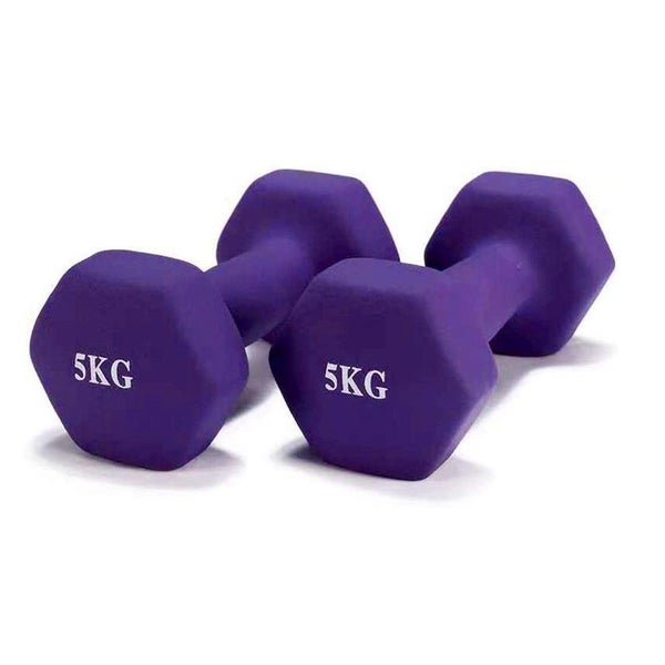 Dumbbell Dumbbells 5KG x 2 Carousel 1