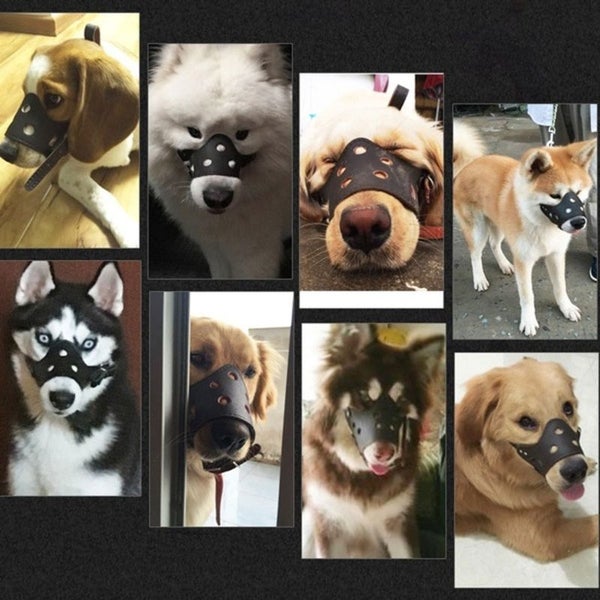 Dog Muzzle Dog Muzzles XL I0596DC4 Carousel 13