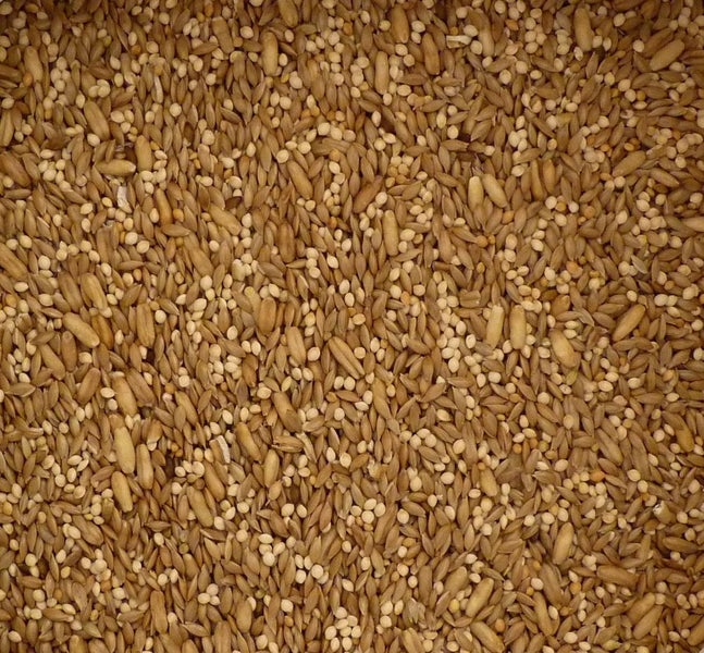 Topflite Budgie Seed Mix 20kg Carousel 2