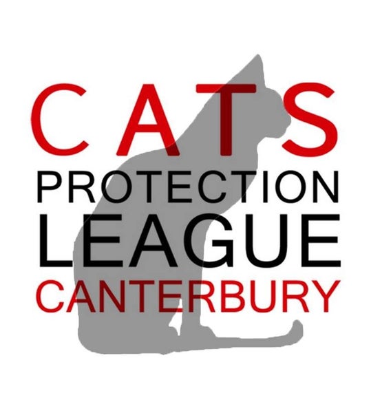Cats Protection Canterbury - Rosella Carousel 4