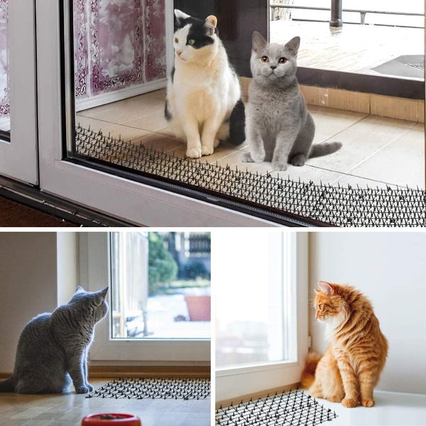 Cat Mat New Carousel 1