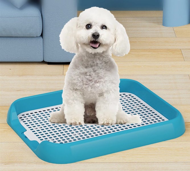 Pet Toilet Dog Potty Trainer Indoor Dog Toilet Tray Litter Box Carousel 1