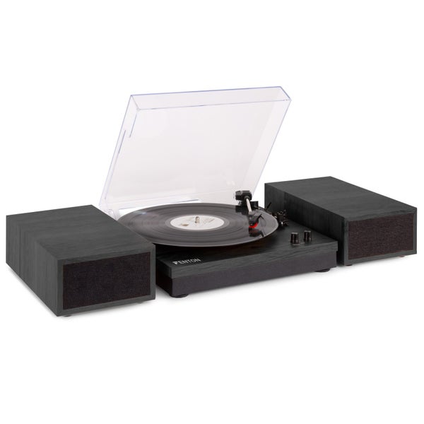Vinyl Record Player Complete with speakers Carousel 2