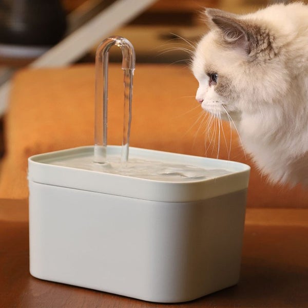 Cats Pet Water Dispenser Fountain Auto Filter USB Electric Mute Cat Carousel 2