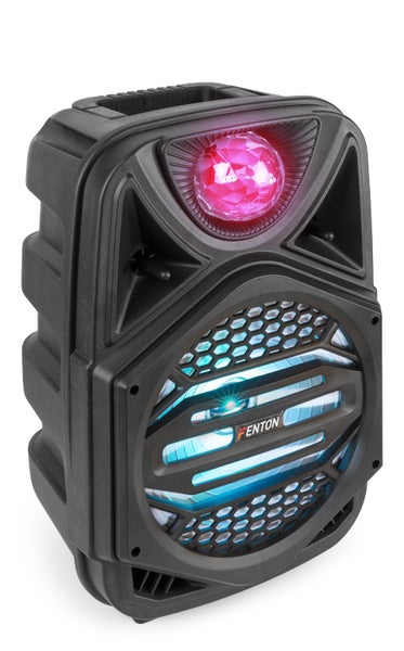 Portable Party Speaker 8 Inch Carousel 2