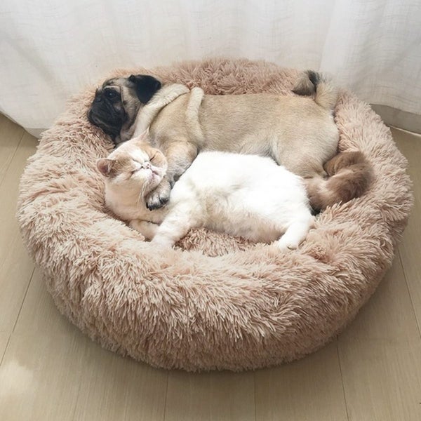 Cat Bed M 2019512 Carousel 1