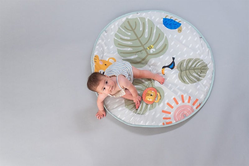 Taf Toys Harry Lion Grab Shake Rattle Cymbals Merry Music Maker For Baby Kids Carousel 3