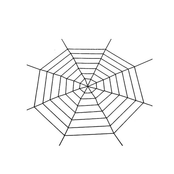 Spider Web Giant Spider Web Decoration Black White Giant Stretchy Carousel 7