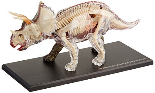 Famemaster 4D Vision Triceratops Anatomy Model Carousel 2