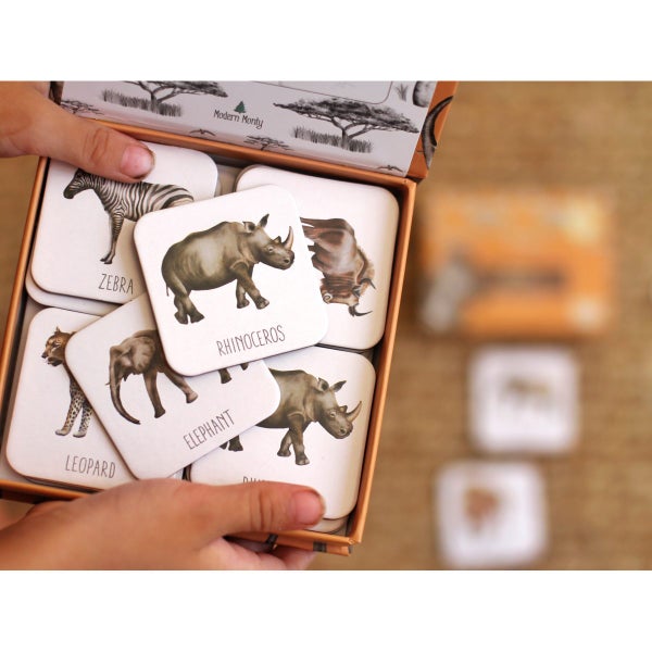 Africa Memory Card Game Carousel 2