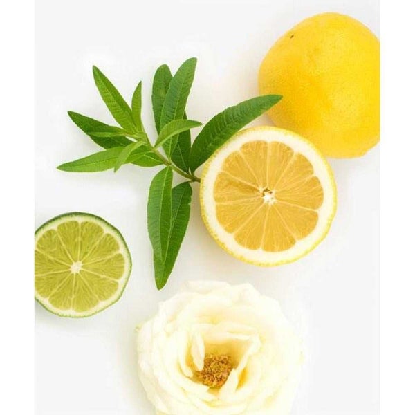 Agraria Argan Oil Conditioner Lemon Verbena Carousel 3