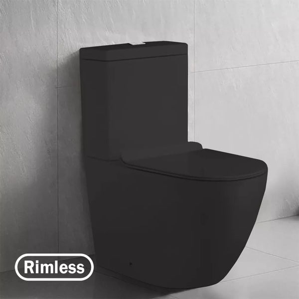 Black Toilet Carousel 1