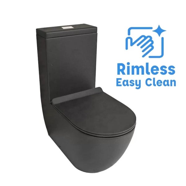 Black Toilet Carousel 2
