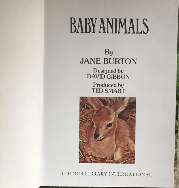 BABY ANIMALS BY JANE BURTON Carousel 2