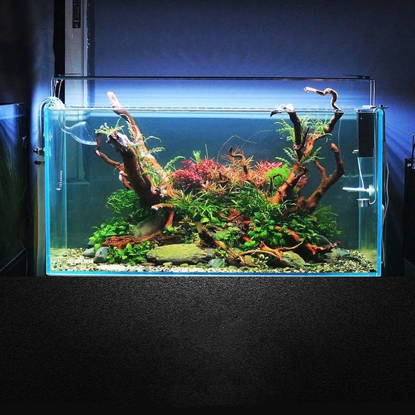 NEO LED Aquarium Light 80-90cm Carousel 2
