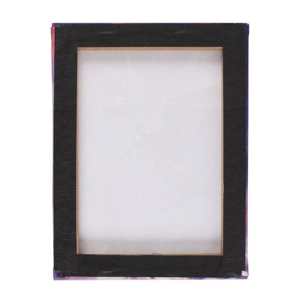 Small Sky Queen Canvas Plaque by Anne Stokes Carousel 2