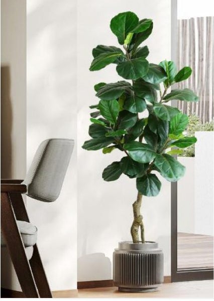Artificial Fiddle Leaf Tree 150cm with planter *40% OFF* Carousel 4