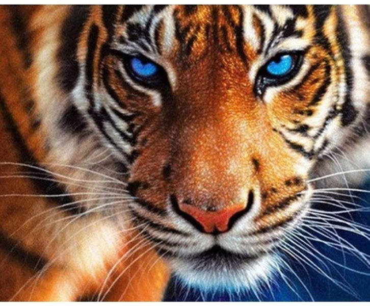 NEW 5D Diamond Painting DIY Kits 30x30CM - Tiger Carousel 2
