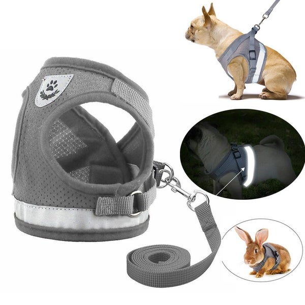 Dog Vest Harness Leash Set M 3631606 Carousel 1