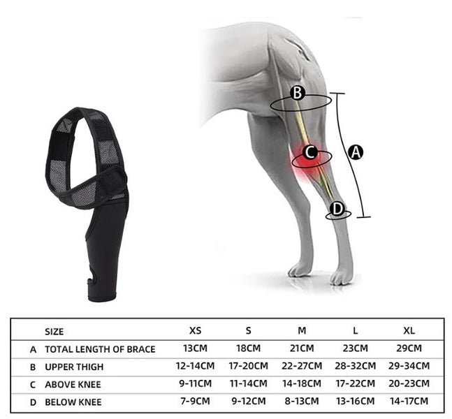 Dog Recovery Knee Brace Injuries Leg Brace Joint Wrap Carousel 2