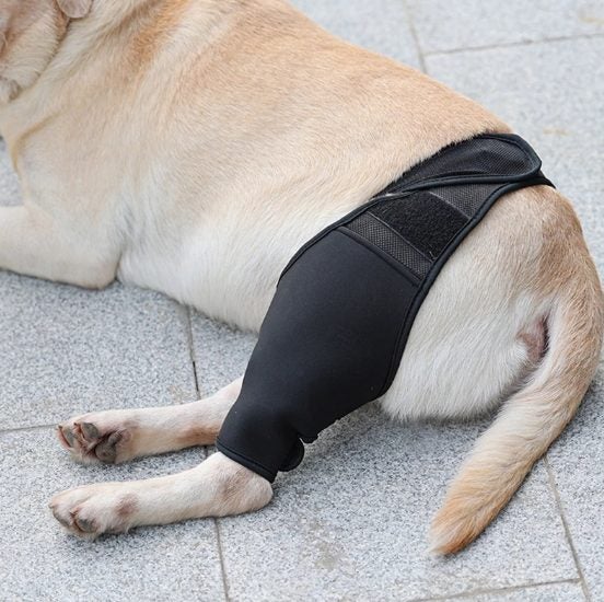 Dog Recovery Knee Brace Injuries Leg Brace Joint Wrap Carousel 7