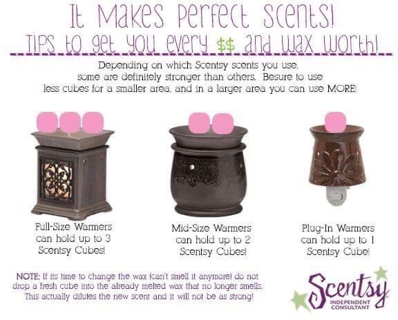 SCENTSY WAX BAR Spiced Berries (retired) -full bar imported Carousel 5