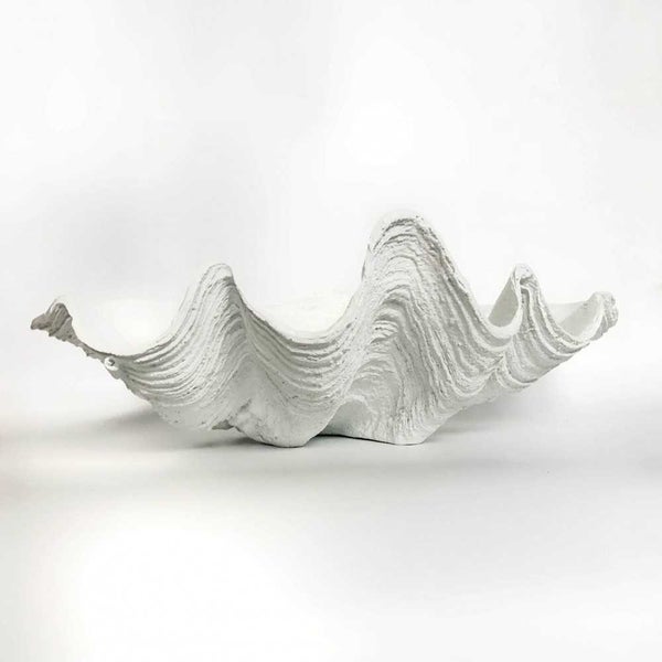 Clam Shells White Clam Shell Large 68cm Carousel 1
