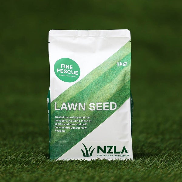 Fine Fescue - NZLA - Golf Course Grass Seed (1kg) Carousel 1