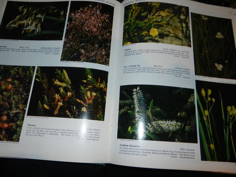 New Zealand Flowers and Plants in colour J T Salmon Carousel 2