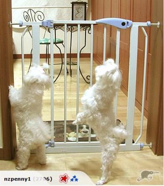 Baby Gate Safety Gate 2003201 Carousel 2