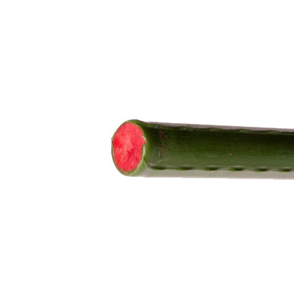 Garden Stakes 2400mm (pack of 5) Carousel 1
