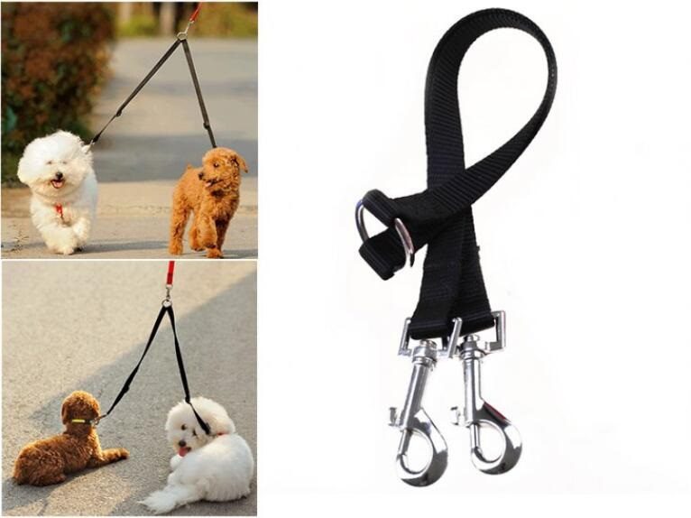 Double Dog Lead 2 Way Splitter Carousel 1