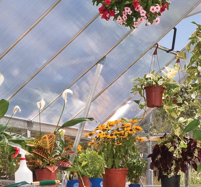 Greenhouse 8ft x16ft Balance - Silver.62989794568067114