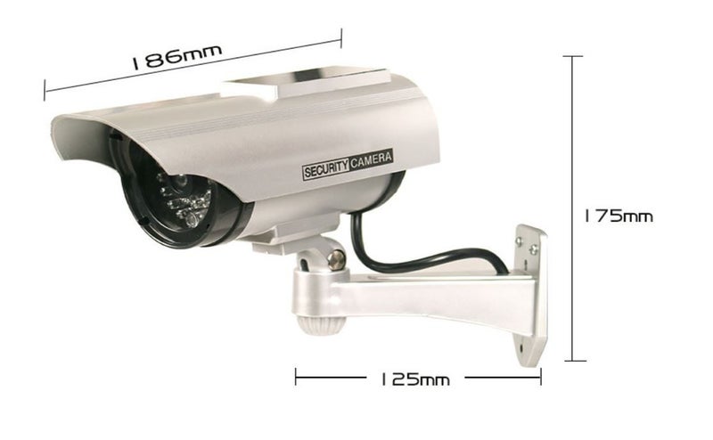 PTN SILVER Solar Dummy Camera with Flash LED Light Fake Simulated Security Dome Carousel 2