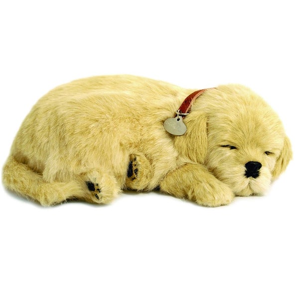 Perfect Petzzz - Golden Retriever Carousel 1