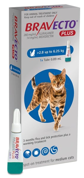 Bravecto plus Medium cat (2.8kg-6.25kg) with AFTERPAY Carousel 1