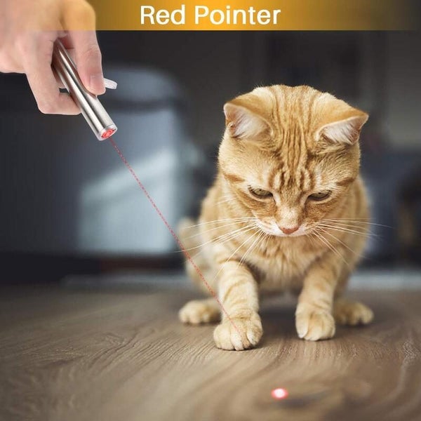 3 In 1 Rechargeable Cat Toy Red UV Flashlight Torch i1964WT0 Carousel 15