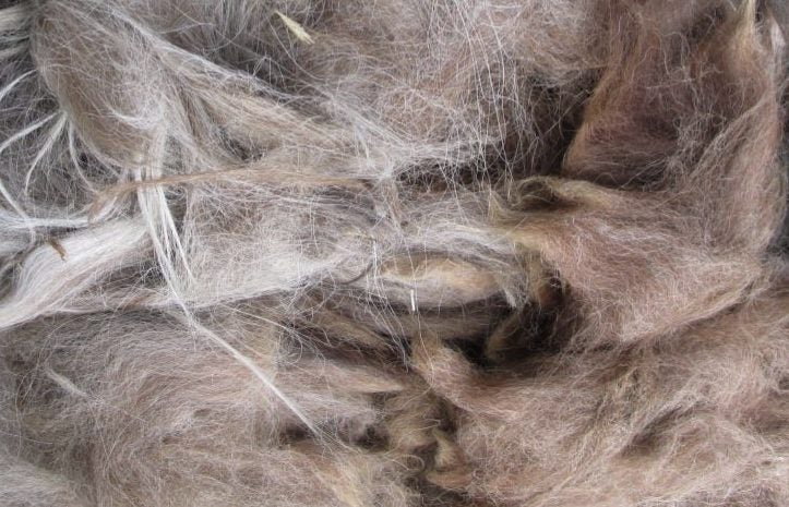 Llama Fleece #50. White, light grey and Caramel natural blend Carousel 1
