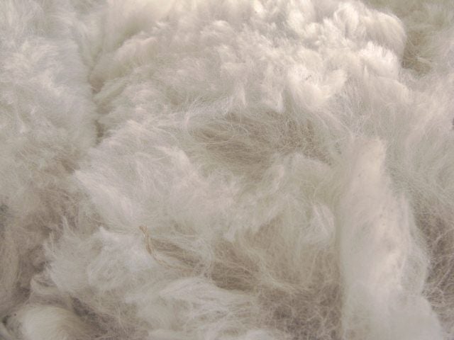 Llama Fleece #11, 1kg White with a touch of caramel Carousel 1